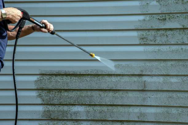 Best House Exterior Washing  in Borden, IN